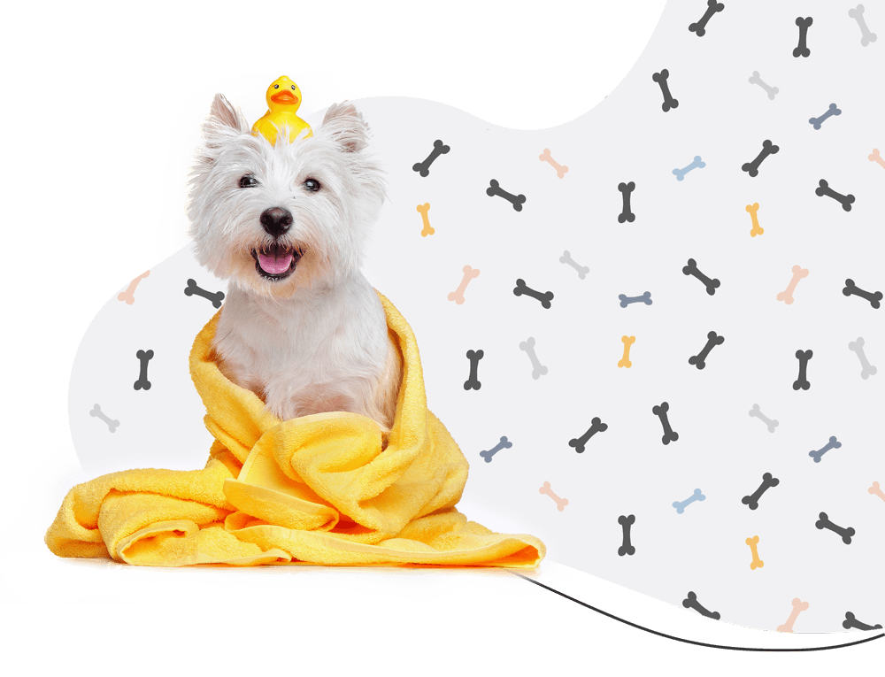 https://3ddd.com.tr/wp-content/uploads/2019/08/hero_prices.png